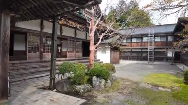 Sonbahar renklerine sahip Japon bahçesi ve Kasım ayında oyulmuş ağaçlar. Yüksek kalite 4k görüntü