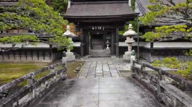 Sonbahar renklerine sahip Japon bahçesi ve Kasım ayında oyulmuş ağaçlar. Yüksek kalite 4k görüntü