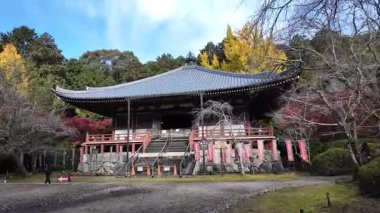 Daigo-ji Tapınağı Japonya 'nın Kyoto kentinde Sonbahar Akçaağacı ile çevrilidir. Yüksek kalite 4k görüntü