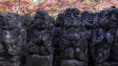 Japonya 'nın Kyoto kentindeki Otagi Nenbutsu-ji Tapınağı' nda Yosun kaplı Rakan Taş Heykelleri. Yüksek kalite 4k görüntü