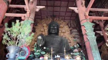 Nara 'daki Antik Todai ji Tapınağı Büyük Buda Heykeli ile birlikte. Yüksek kalite 4k görüntü