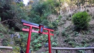 Japonya 'nın Kyoto kentindeki Otagi Nenbutsu-ji Tapınağı' nda Yosun kaplı Rakan Taş Heykelleri. Yüksek kalite 4k görüntü