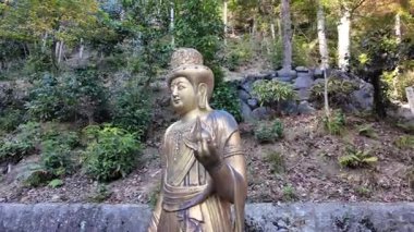 Japon tapınağındaki doğadaki altın Buda heykeli. Yüksek kalite 4k görüntü