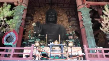 Nara 'daki Antik Todai ji Tapınağı Büyük Buda Heykeli ile birlikte. Yüksek kalite 4k görüntü