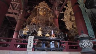 Nara 'daki Antik Todai ji Tapınağı Büyük Buda Heykeli ile birlikte. Yüksek kalite 4k görüntü