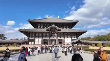NARA, JAPONYA - 25 Kasım 2025 TOdai-ji Tapınakları UNESCO World 'deki Büyük Buda Salonu. Yüksek kalite 4k görüntü