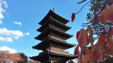 To-ji Tapınağı 'nın Manzaralı Bakış açısı, Japonya' nın Kyoto şehrinde popüler bir turizm merkezi. Yüksek kalite 4k görüntü