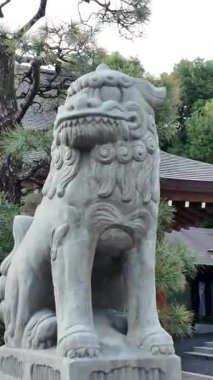 Japon tapınağındaki Komanu Koruyucu Aslan Heykeli. Yüksek kalite 4k görüntü