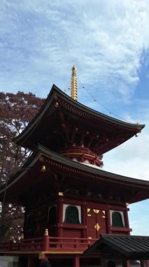 To-ji Tapınağı 'nın Manzaralı Bakış açısı, Japonya' nın Kyoto şehrinde popüler bir turizm merkezi. Yüksek kalite 4k görüntü