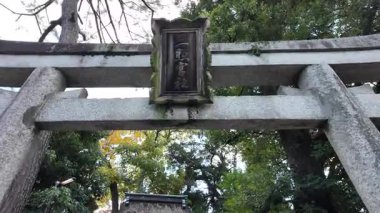 Orman Tapınağı 'ndaki Antik Torii Kapısı' nın Düşük Açı Vuruşu. Yüksek kalite 4k görüntü