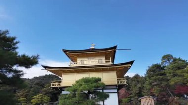 Sersemletici Altın Pavyon Kinkaku-ji Kyoto 'daki Sakin Göl' e yansıyor. Yüksek kalite 4k görüntü