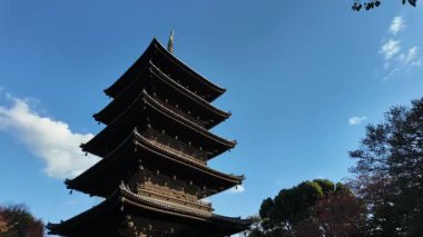 To-ji Tapınağı 'nın Manzaralı Bakış açısı, Japonya' nın Kyoto şehrinde popüler bir turizm merkezi. Yüksek kalite 4k görüntü
