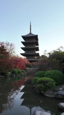 To-ji Tapınağı 'nın Manzaralı Bakış açısı, Japonya' nın Kyoto şehrinde popüler bir turizm merkezi. Yüksek kalite 4k görüntü