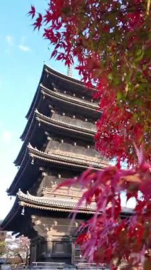 To-ji Tapınağı 'nın Manzaralı Bakış açısı, Japonya' nın Kyoto şehrinde popüler bir turizm merkezi. Yüksek kalite 4k görüntü