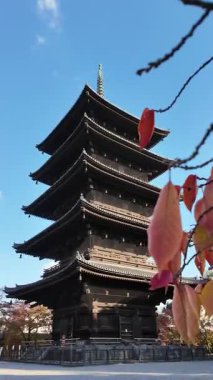 To-ji Tapınağı 'nın Manzaralı Bakış açısı, Japonya' nın Kyoto şehrinde popüler bir turizm merkezi. Yüksek kalite 4k görüntü