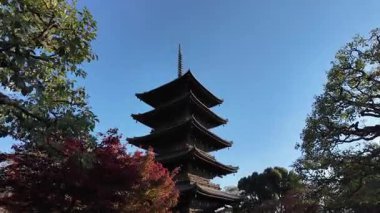 To-ji Tapınağı 'nın Manzaralı Bakış açısı, Japonya' nın Kyoto şehrinde popüler bir turizm merkezi. Yüksek kalite 4k görüntü