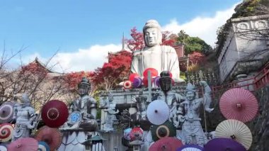 Tsubosakadera Tapınağı 'nda ortaya çıkan dev Buda Heykeli. Yüksek kalite 4k görüntü