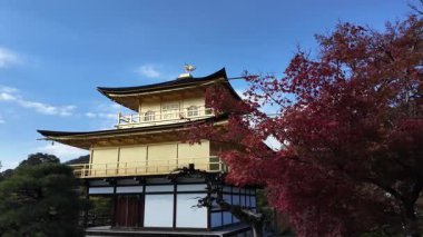 Sersemletici Altın Pavyon Kinkaku-ji Kyoto 'daki Sakin Göl' e yansıyor. Yüksek kalite 4k görüntü