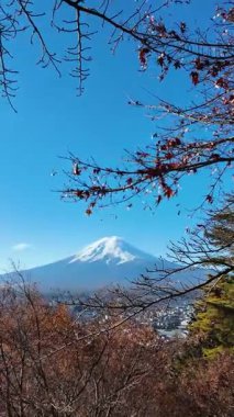 Mount Fuji Framed by Autumn Foliage in Japan. High quality 4k footage