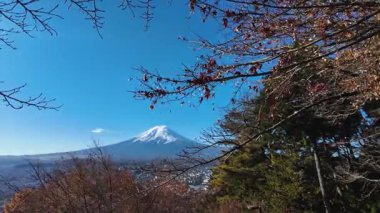 Fuji Dağı Japonya 'da sonbahar yaprakları tarafından çerçevelenmiştir. Yüksek kalite 4k görüntü