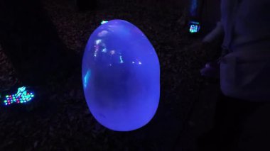 Osaka 'daki Takım Laboratuvarında Aydınlatılmış Ağaçlar. Yüksek kalite 4k görüntü