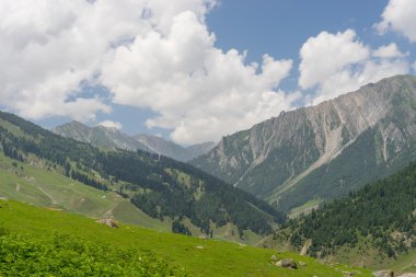 Yaz Sonamarg, Hindistan