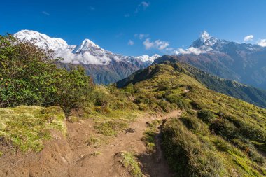 Mardi Himal 'in Annapurna Dağları' ndaki yürüyüş yolu Himalya Dağları 'nın alt aralığı, Nepal, Asya