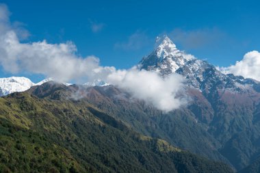 Machapuchare dağ zirvesi, Annapurna sıradağlarındaki kutsal dağ, Pokhara, Nepal, Asya 'daki Himalaya dağları.