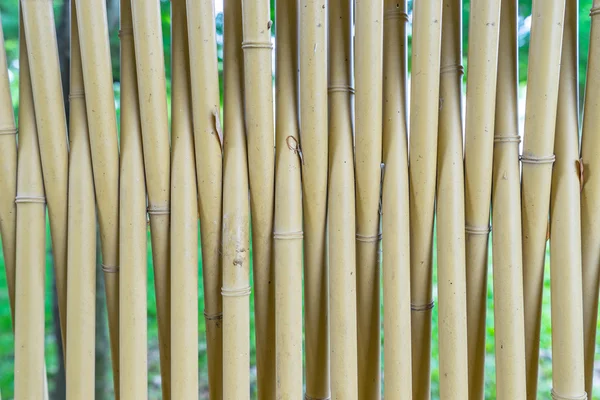 Бамбукові огорожі — стокове фото