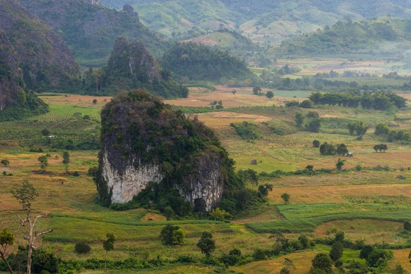 Falaise Pha Chang Noi le matin — Photo