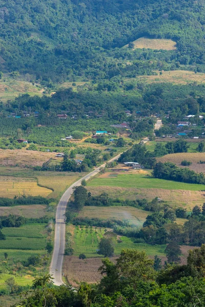 Small local road — Stock Photo, Image