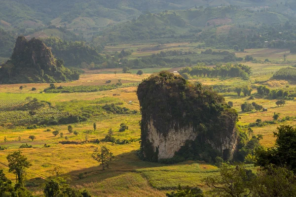 Falaise Pha Chang Noi à Phu Langa — Photo