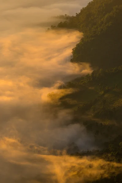 Θάλασσα της ομίχλης — Φωτογραφία Αρχείου