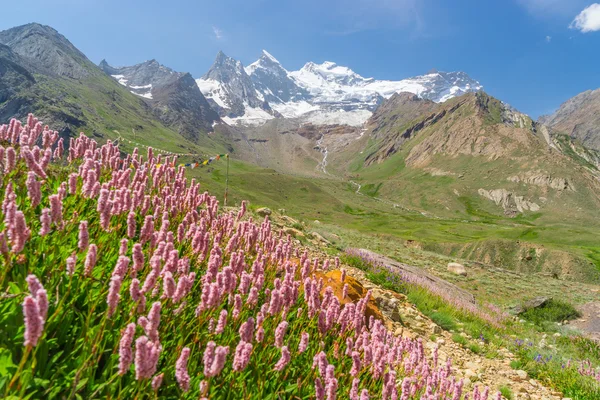 A Zanskar völgy gleccser — Stock Fotó