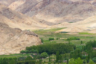 Yaz, Ladakh Leh