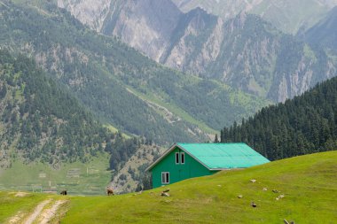 Sonamarg'da yeşil ev