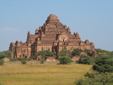 Dhammayangyi pagoda Bagan içinde