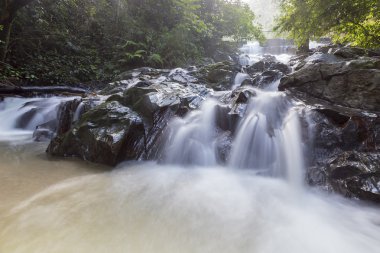 şelale yemyeşil yağmur ormanları içinde. 