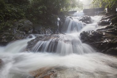 şelale yemyeşil yağmur ormanları içinde. 