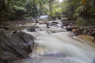 şelale yemyeşil yağmur ormanları içinde. 