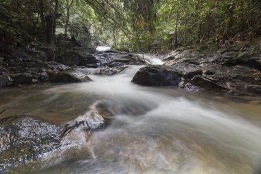 şelale yemyeşil yağmur ormanları içinde. 