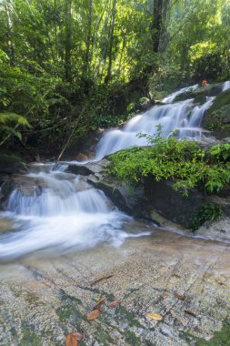 şelale yemyeşil yağmur ormanları içinde. 