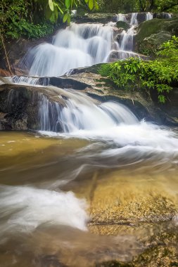 şelale yemyeşil yağmur ormanları içinde. 