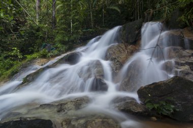 şelale yemyeşil yağmur ormanları içinde. 
