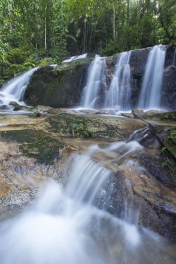 şelale yemyeşil yağmur ormanları içinde. 