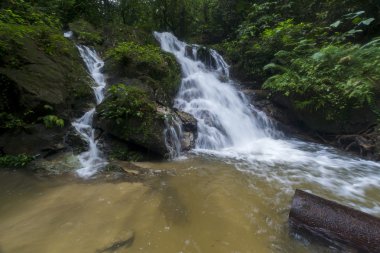 şelale yemyeşil yağmur ormanları içinde. 