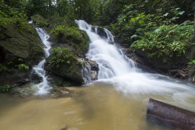 yağmur ormanı şelale.
