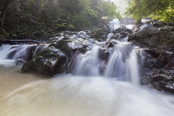 şelale yemyeşil yağmur ormanları içinde. 