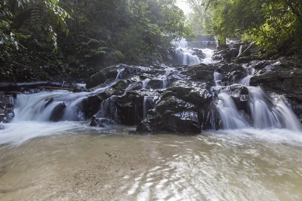 şelale yemyeşil yağmur ormanları içinde. 