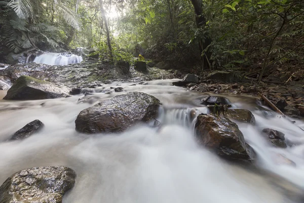 şelale yemyeşil yağmur ormanları içinde. 